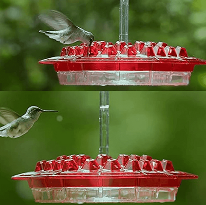 Hummingbird Feeder Outdoor Hanging 30 Port UV Resistant