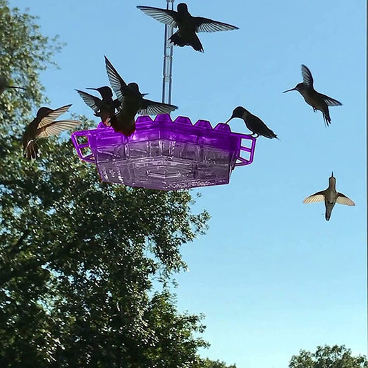 Hummingbird Feeder Outdoor Hanging 30 Port UV Resistant