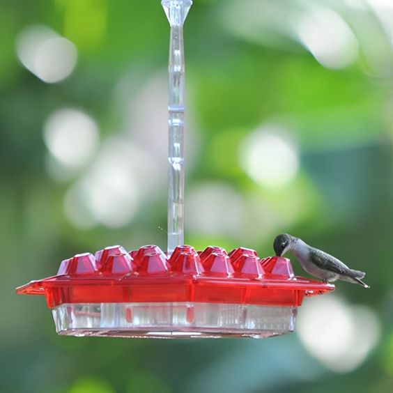 Hummingbird Feeder Hanging Outdoor Nectar Garden Feeder