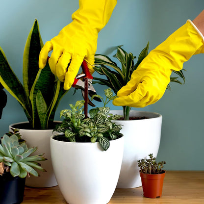 Cleaning Gloves Non Slip Rubber Kitchen Dishwashing Gloves Set