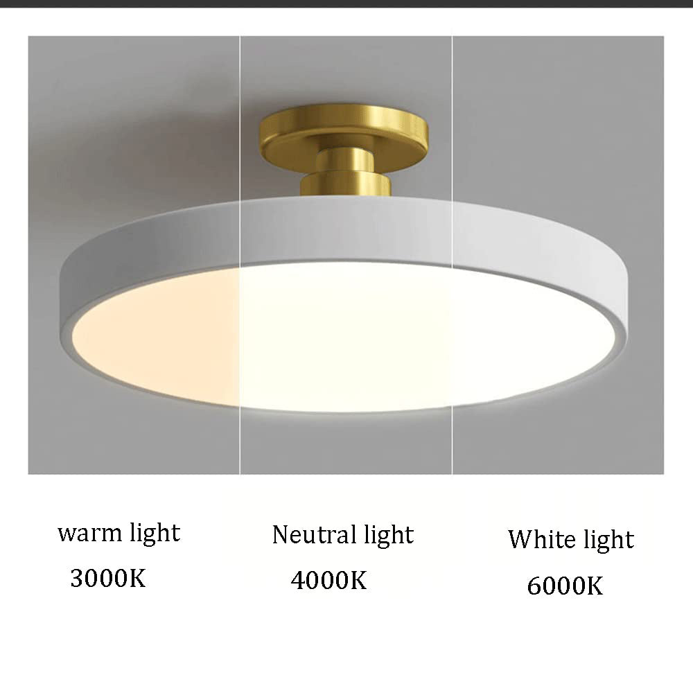 LED Ceiling Light | Modern Round Flush Mount Lamp