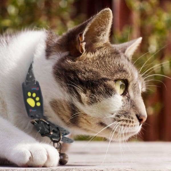 Cat GPS Tracker Real Time Pet Location Tracking Device