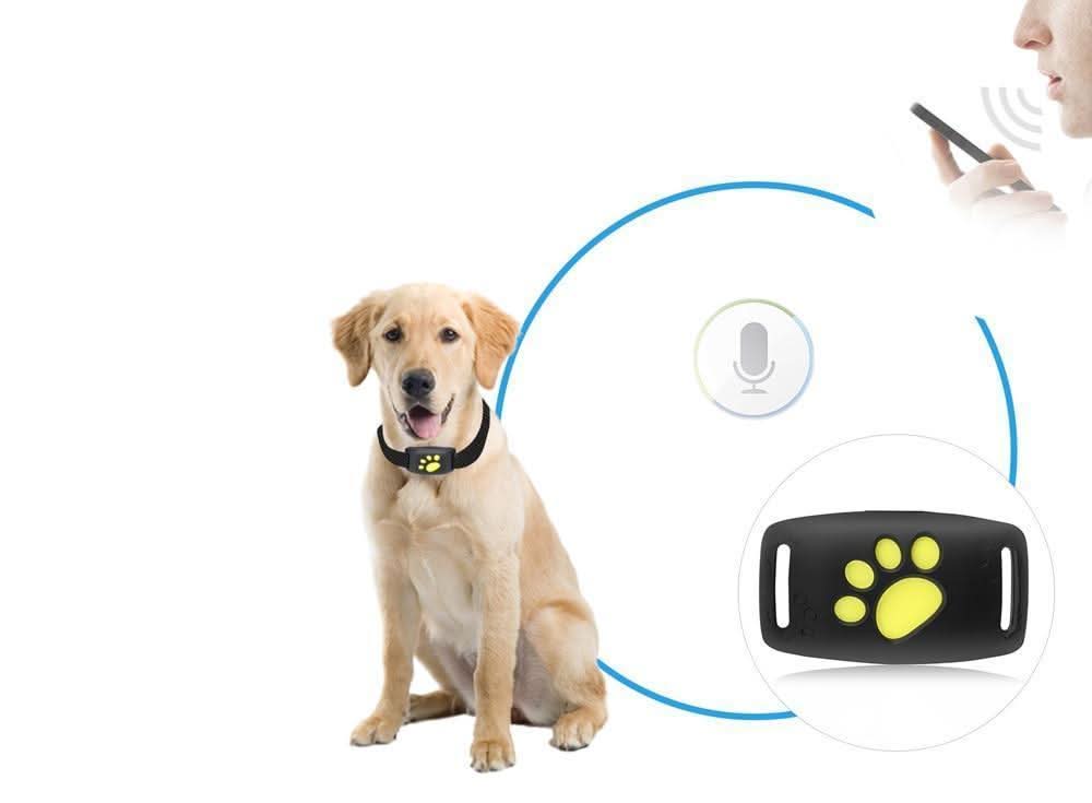 Cat GPS Tracker Real Time Pet Location Tracking Device