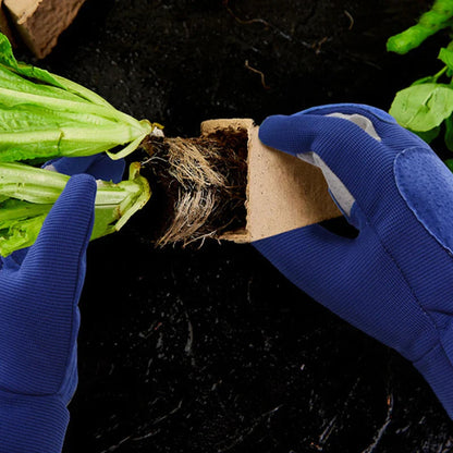Gardening Gloves Thorn Proof Leather Work Gloves for Rose Pruning