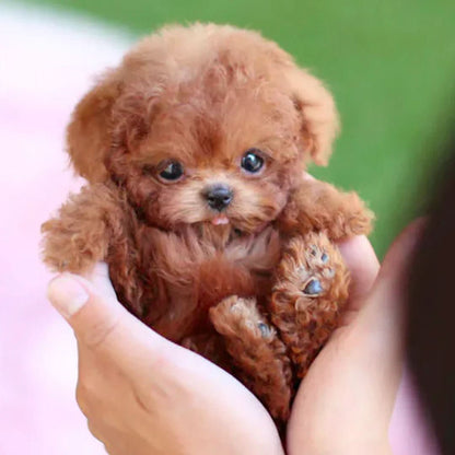 Stuffed Dog Plush Toy Interactive Walking Electronic Puppy