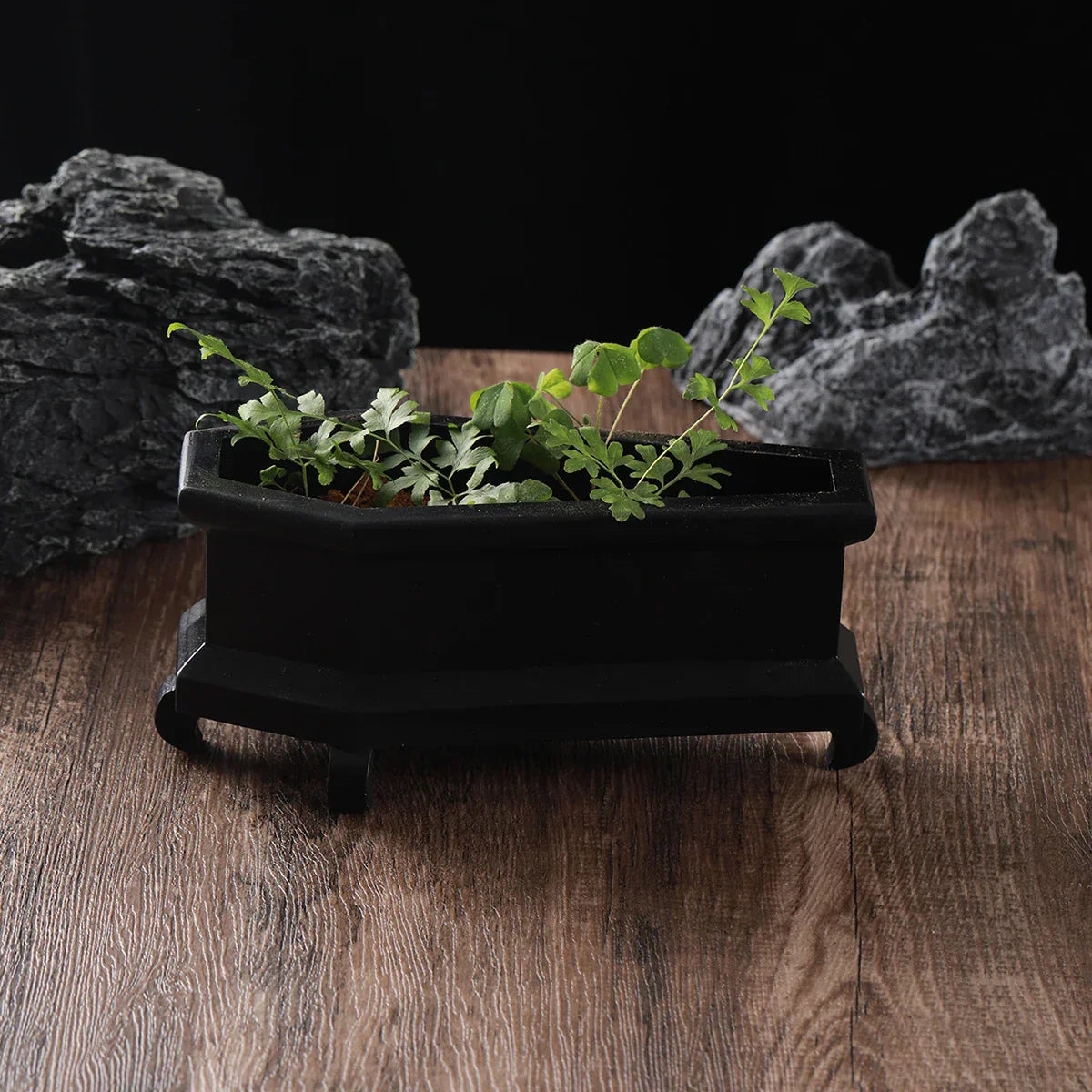 Rest In Leaves Coffin Plant Pot