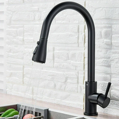 Kitchen Faucet Single Handle Pull-Out Spray Stainless Steel Modern