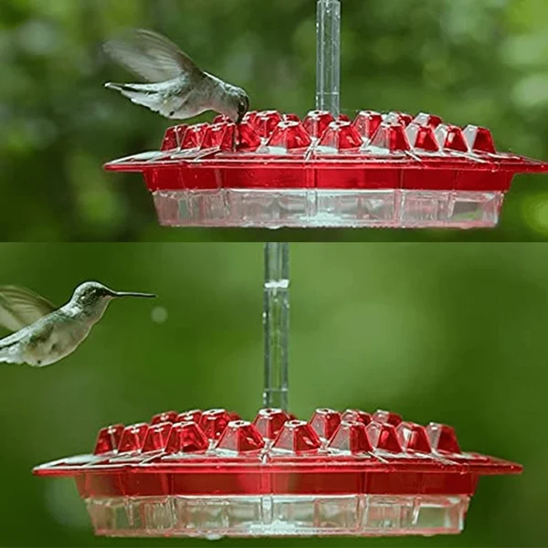 Hummingbird Feeder Hanging Outdoor Nectar Garden Feeder