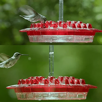 Hummingbird Feeder Hanging Outdoor Nectar Garden Feeder
