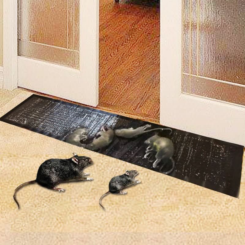 Rodent Trap Glue Board Mouse Rat Insect Pest Control Sticky Trap