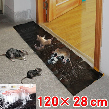Rodent Trap Glue Board Mouse Rat Insect Pest Control Sticky Trap