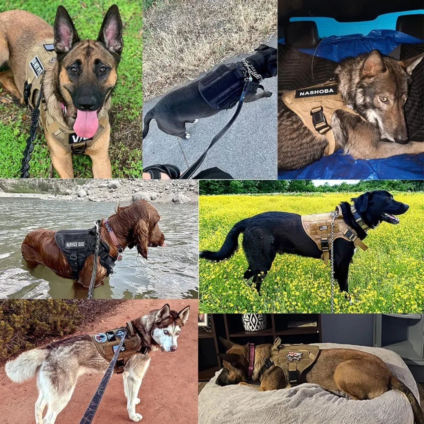Dog Harness Tactical Vest Adjustable Nylon Training Control
