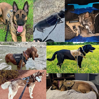 Dog Harness Tactical Vest Adjustable Nylon Training Control