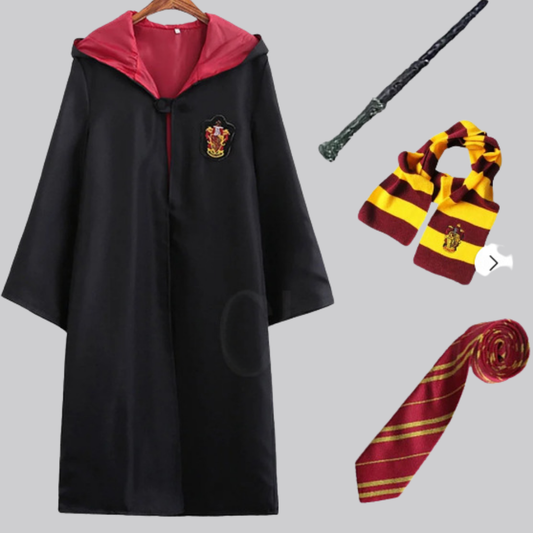 Wizard Costume Complete Set Cloak Accessories