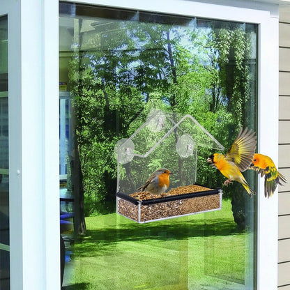 Bird House Windows Transparent Feeding House