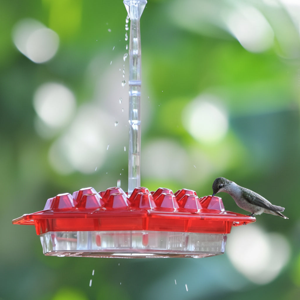 Hummingbird Feeder Clear Base Flower Ports