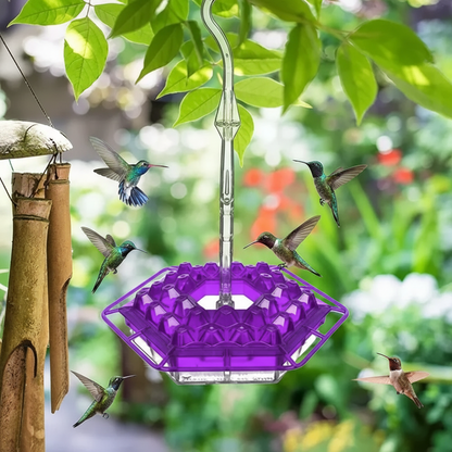Hummingbird Feeder Clear Base Flower Ports