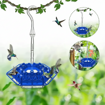 Hummingbird Feeder Clear Base Flower Ports