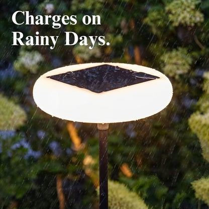 Metal & Acrylic Outdoor Solar Floor Lamp