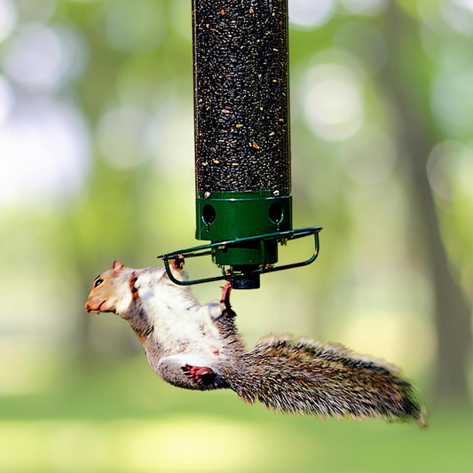 Squirrel Proof Bird Feeder Metal Hanging Large Capacity Outdoor