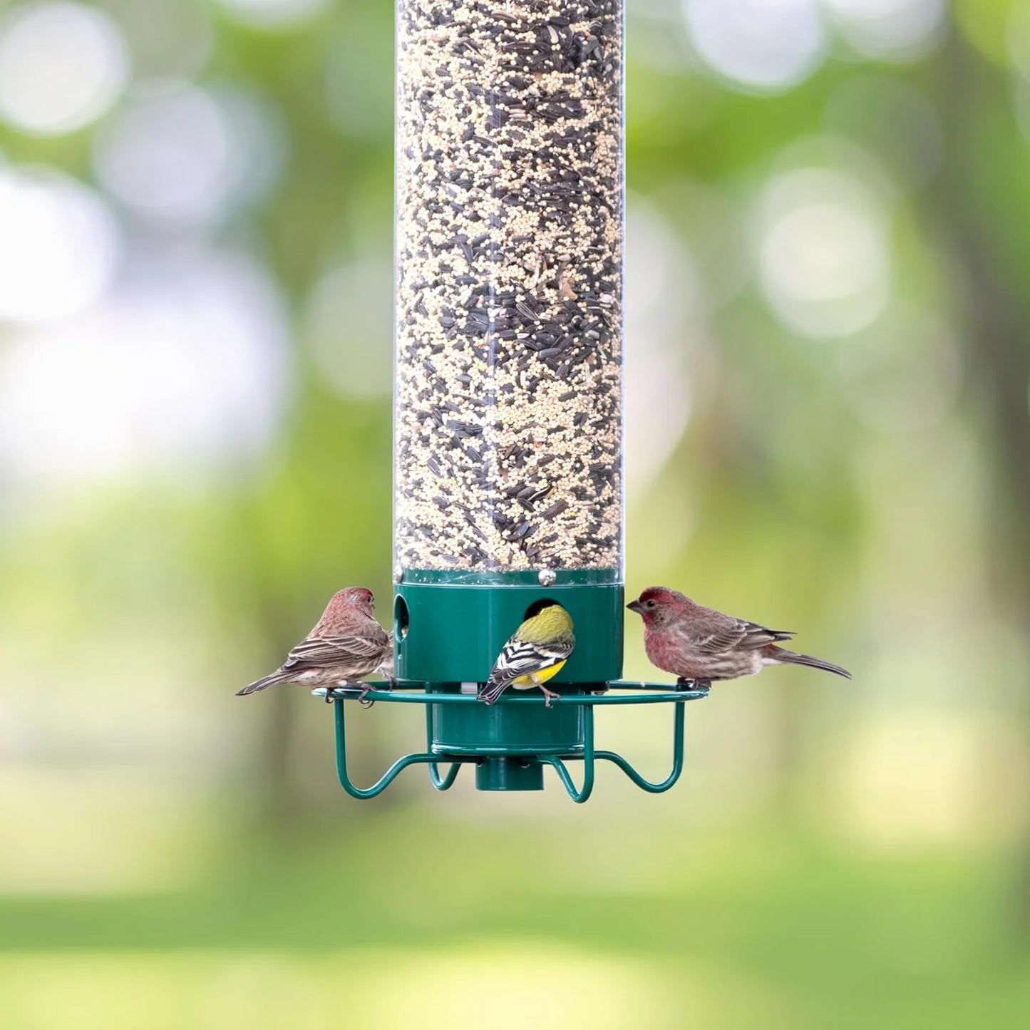 Squirrel Proof Bird Feeder Metal Hanging Large Capacity Outdoor