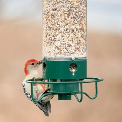 Squirrel-proof bird feeder | Spinning perch deterrent
