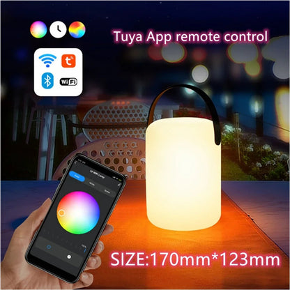 Portable Waterproof Cordless Lamp with Remote Control