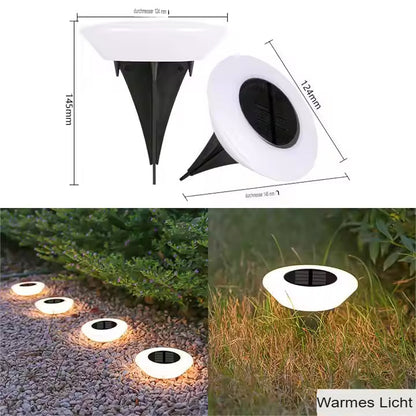 LED Solar Garden Light | Outdoor Solar Path Illumination