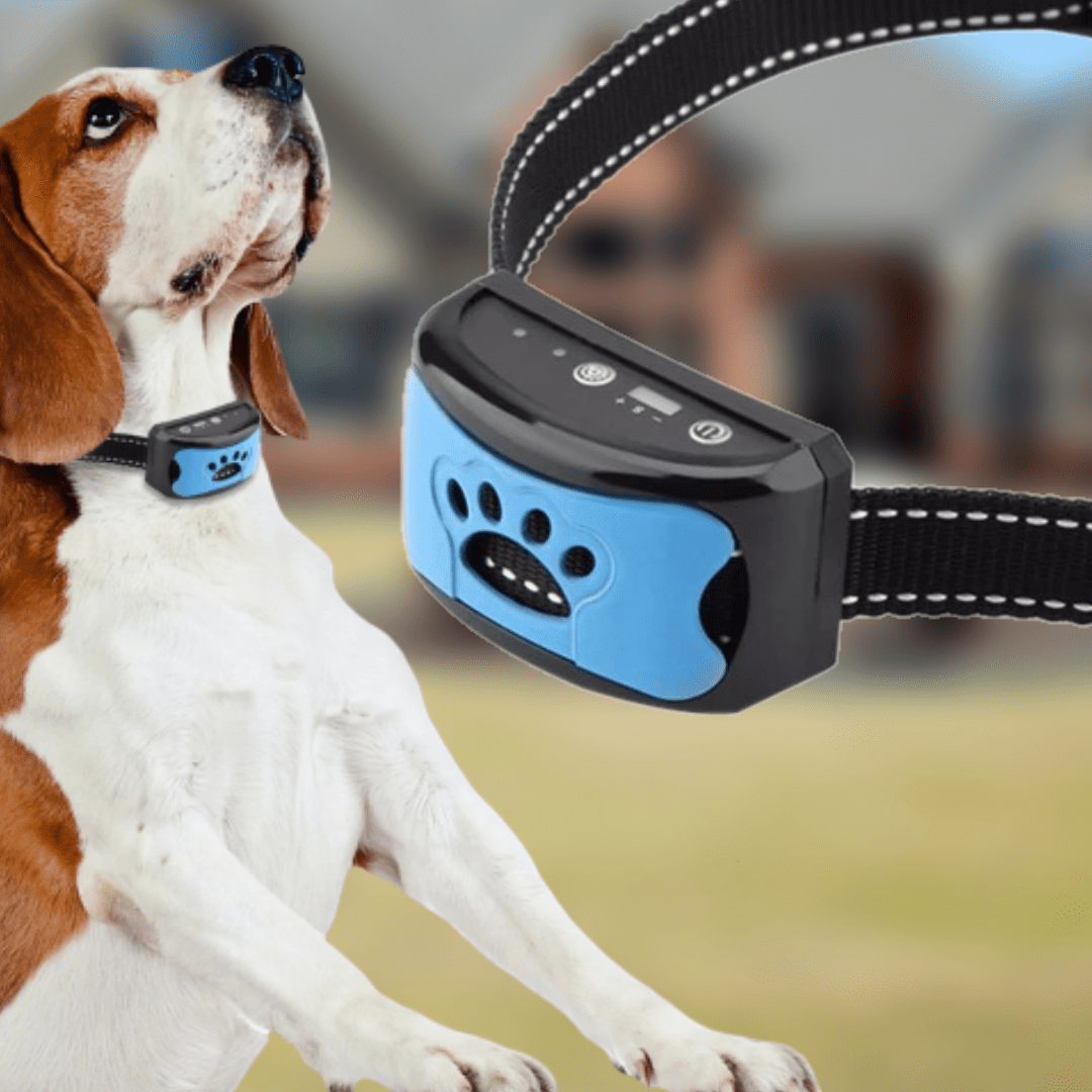 Anti-Bark Dog Collar | Gentle Sound &amp; Vibration